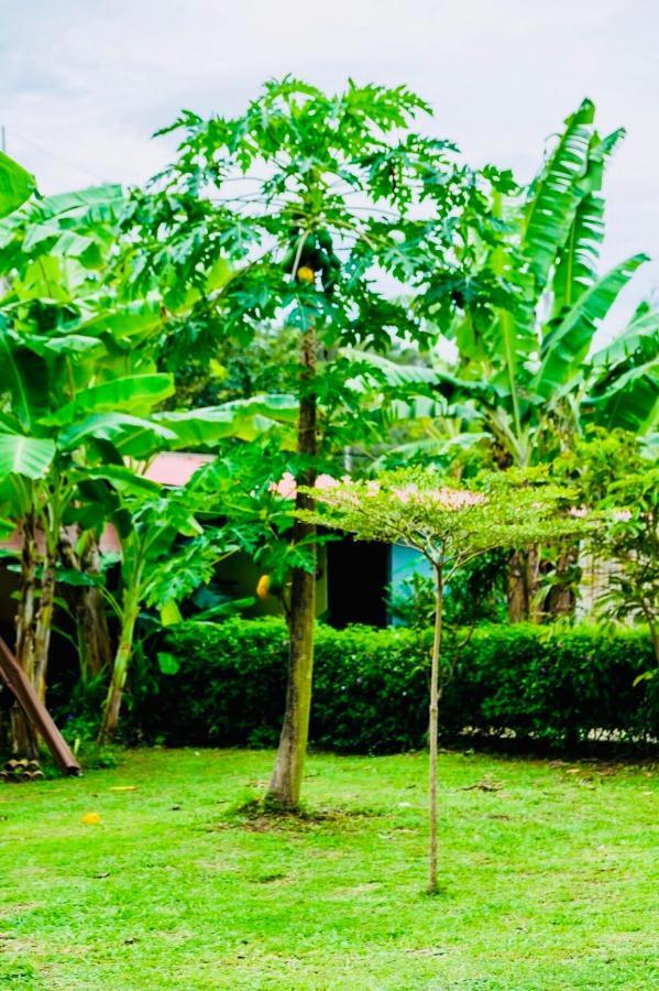 Baansuan Amaleena Ko Yao Noi Exterior photo